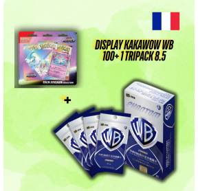 1 display Kakawow Warner Bros WB100 + 1 Tripack 8.5 Evolutions prismatiques FR