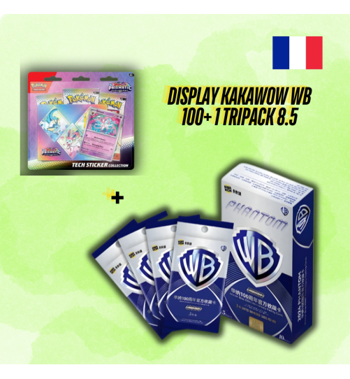1 display Kakawow Warner Bros WB100 + 1 Tripack 8.5 Evolutions prismatiques FR