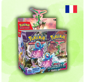 Display EV5 Forces temporelles FR